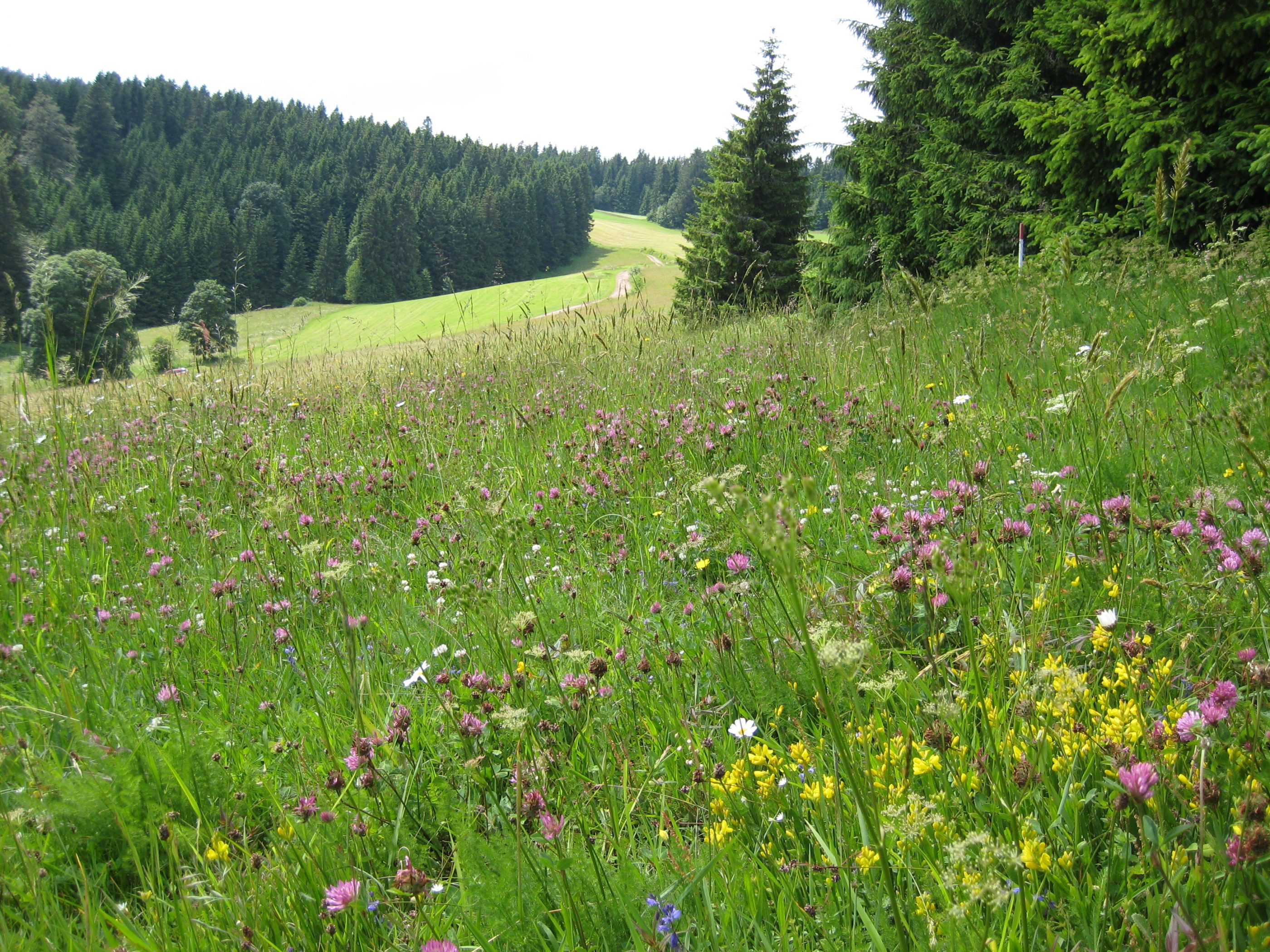 Zwischen Theorie und Praxis CampusPost